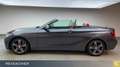 BMW 230 i Cabrio A Navi Prof,M-Sport,M-Sport,Xe,H&K Gris - thumbnail 9