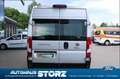 Fiat Ducato Grossr.-Kasten 35 130 L4H2 REGALUMBAU|HOLZBODEN|KA Grigio - thumbnail 4