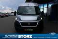 Fiat Ducato Grossr.-Kasten 35 130 L4H2 REGALUMBAU|HOLZBODEN|KA Grigio - thumbnail 8