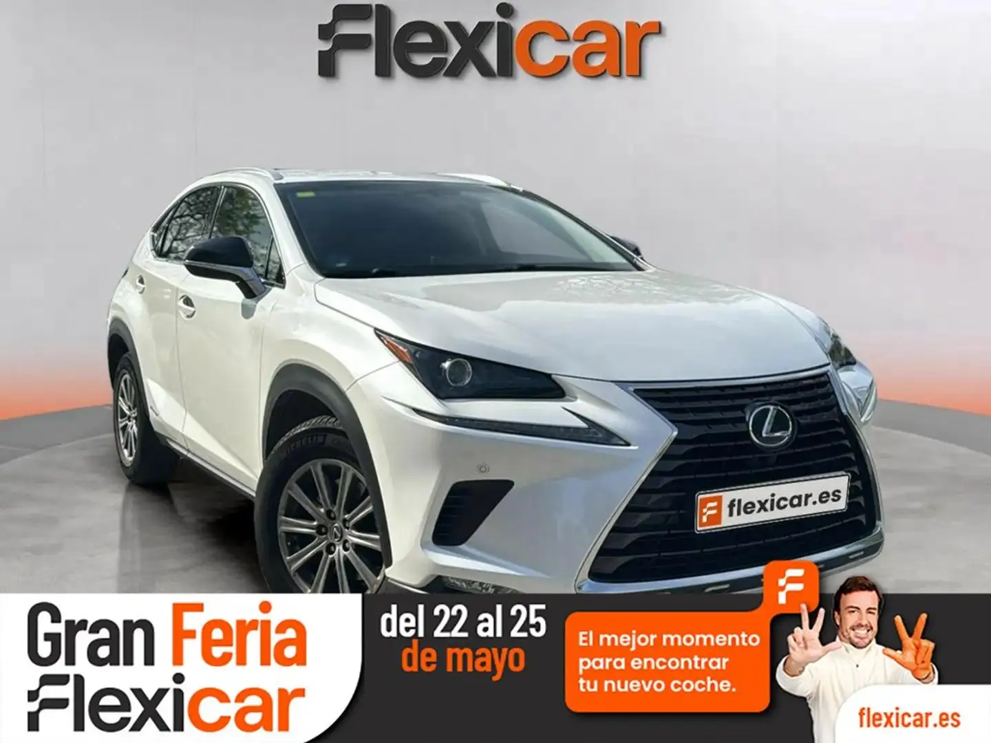 Lexus NX 300h 2.5 Business Navigation 2WD Blanco - 2