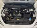 SEAT Leon ST 1.0 eTSI S&S FR XS DSG-7 110 Blanco - thumbnail 20