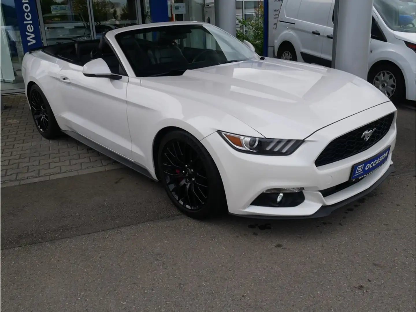Ford Mustang Cabrio  2.3 EcoBoost 317cv M6 Blanc - 2