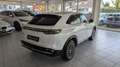 Honda e:Ny1 Advance Paket *360°Kamera*LED*Panoramadach Weiß - thumbnail 4