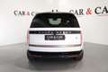 Land Rover Range Rover Range Rover 3.0 l6 PHEV SV Bianco - thumbnail 4