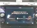 Volkswagen Golf 2.0 TDI Comfortline DSG Grau - thumbnail 10