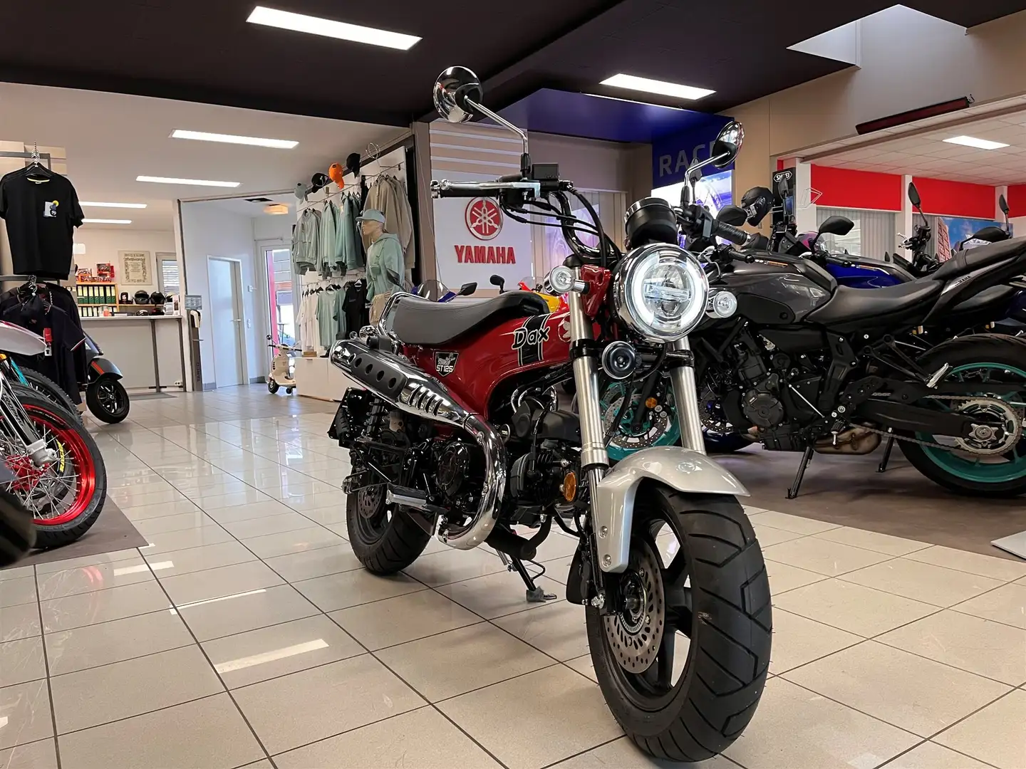 Honda DAX ST 125 Vorführmotorrad - 1
