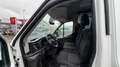 Ford Transit 310 96KW L2H2 Mixta Trend MHEV Blanco - thumbnail 16
