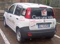 Fiat Panda SUBEBTRO LEASING Panda 1.0 pop van hybrid euro 6d Bianco - thumbnail 5
