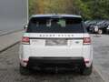 Land Rover Range Rover Sport D300 HSE Dynamic /€13.215 netto / Pano / ... Weiß - thumbnail 4
