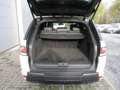Land Rover Range Rover Sport D300 HSE Dynamic /€13.215 netto / Pano / ... Weiß - thumbnail 12