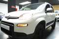 Fiat Panda 0.9 TwinAir 4x4 Wit - thumbnail 35