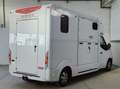 Renault Master T35 2.3 dCi 165 PL-TN Van Trasporto Cavalli Bianco - thumbnail 7