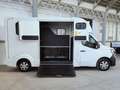 Renault Master T35 2.3 dCi 165 PL-TN Van Trasporto Cavalli Bianco - thumbnail 8