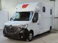 Renault Master T35 2.3 dCi 165 PL-TN Van Trasporto Cavalli Bianco - thumbnail 4