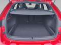 Skoda Octavia Combi RS 2.0 TSI DSG Rot - thumbnail 15