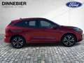 Ford Kuga ST-Line X LED+AHK+Glasdach+Kamera+SHZ Roşu - thumbnail 8