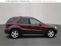 Mercedes-Benz ML 420 ML -Klasse ML 420 CDI EDITION 10 BOSE Sound AHK Rosso - thumbnail 5