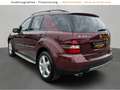 Mercedes-Benz ML 420 ML -Klasse ML 420 CDI EDITION 10 BOSE Sound AHK Rosso - thumbnail 3