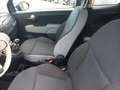 Fiat 500 1.0 70cv Ibrido Pop Grigio - thumbnail 9