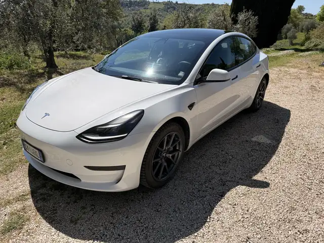 Tesla Model 3 Tesla Model 3 RWD 2023 Bianca, perfette condizioni
