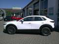 Mazda CX-30 e-SKYACTIV 140 Prime-Line NAVI/KAMERA/HUD Weiß - thumbnail 2