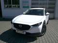 Mazda CX-30 e-SKYACTIV 140 Prime-Line NAVI/KAMERA/HUD Weiß - thumbnail 1