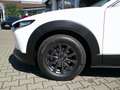 Mazda CX-30 e-SKYACTIV 140 Prime-Line NAVI/KAMERA/HUD Weiß - thumbnail 16