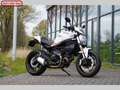 Ducati Monster 797 + Fehér - thumbnail 10