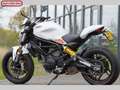Ducati Monster 797 + Blanc - thumbnail 22