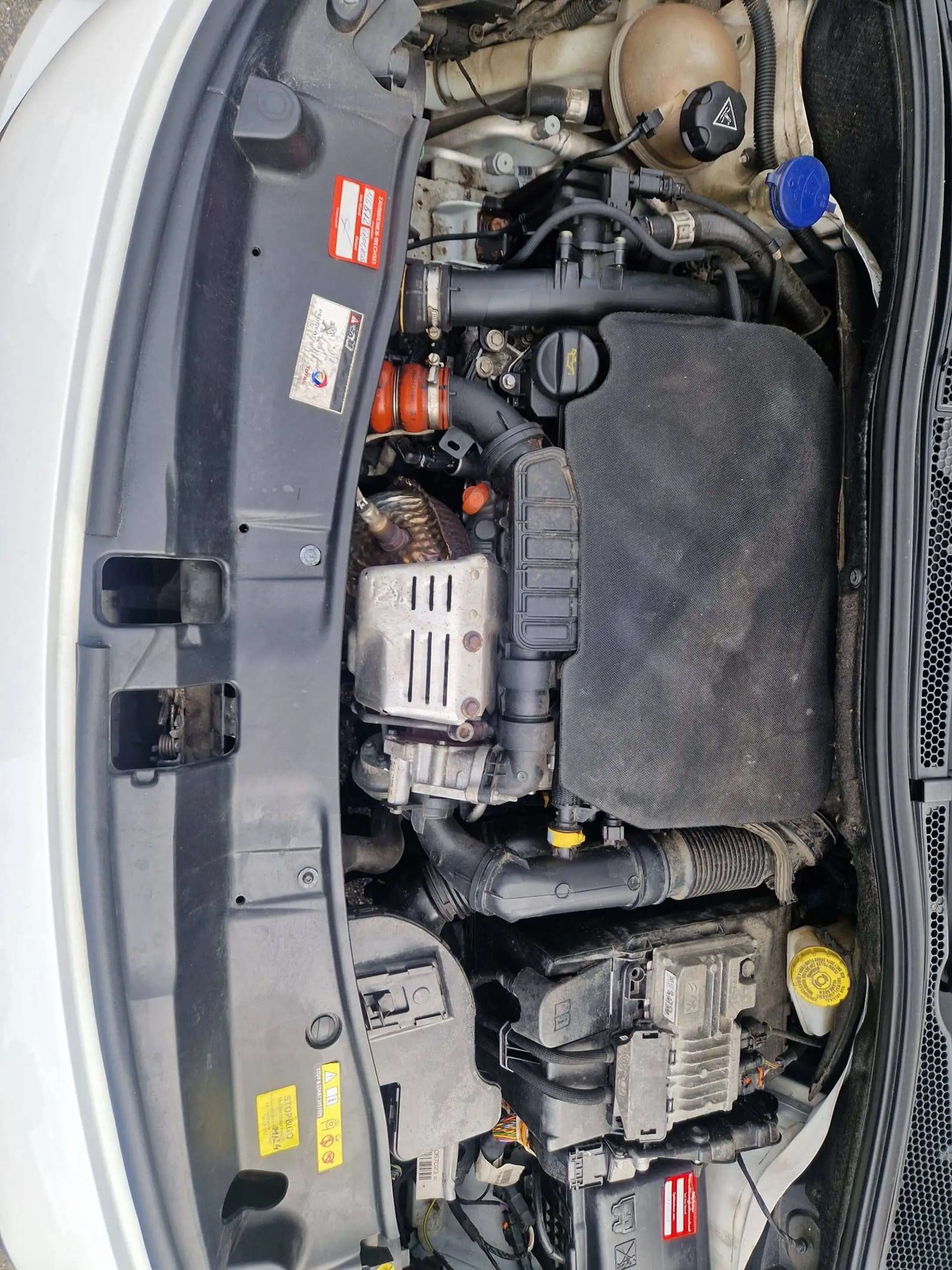 Peugeot 2008 Allure — photo 18