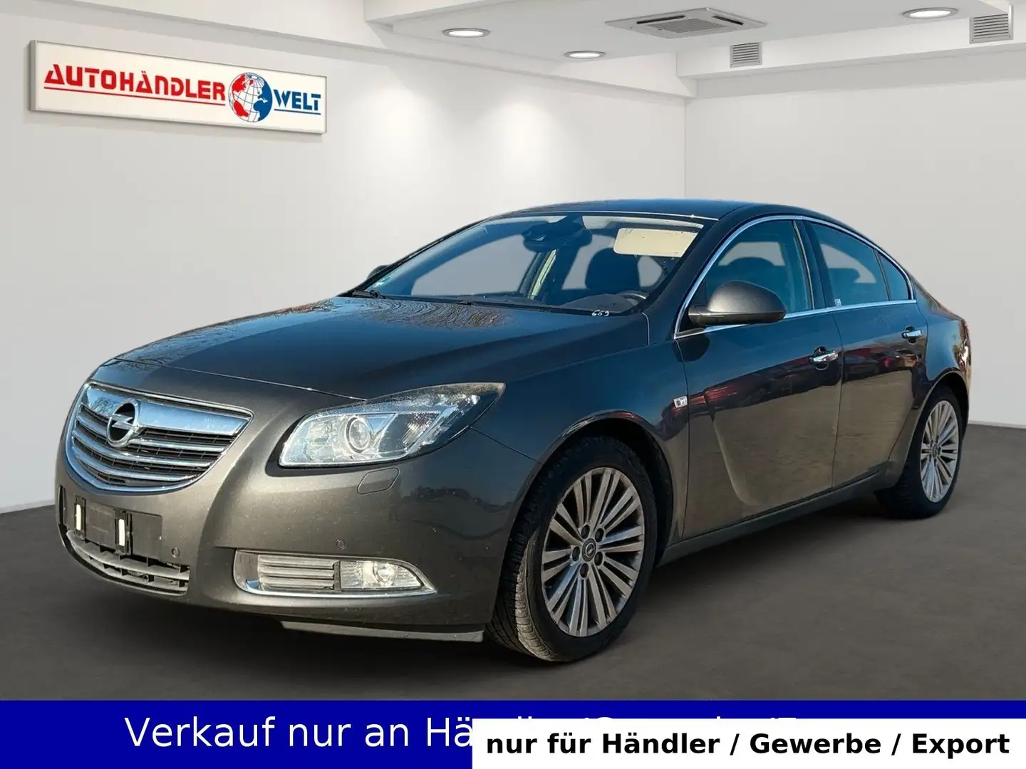 Opel Insignia A Lim. 2.0 Turbo Innovation 4x4 Grau - 1