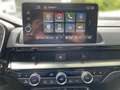 Honda CR-V Parkassistent+Panoramaschiebedach+BOSE Schwarz - thumbnail 14
