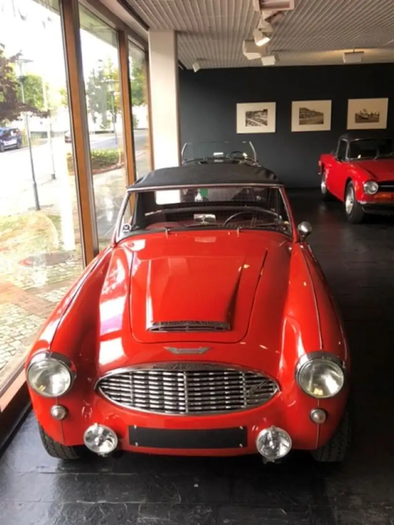 Austin-Healey 100 100/6 BN6 Rot - 1