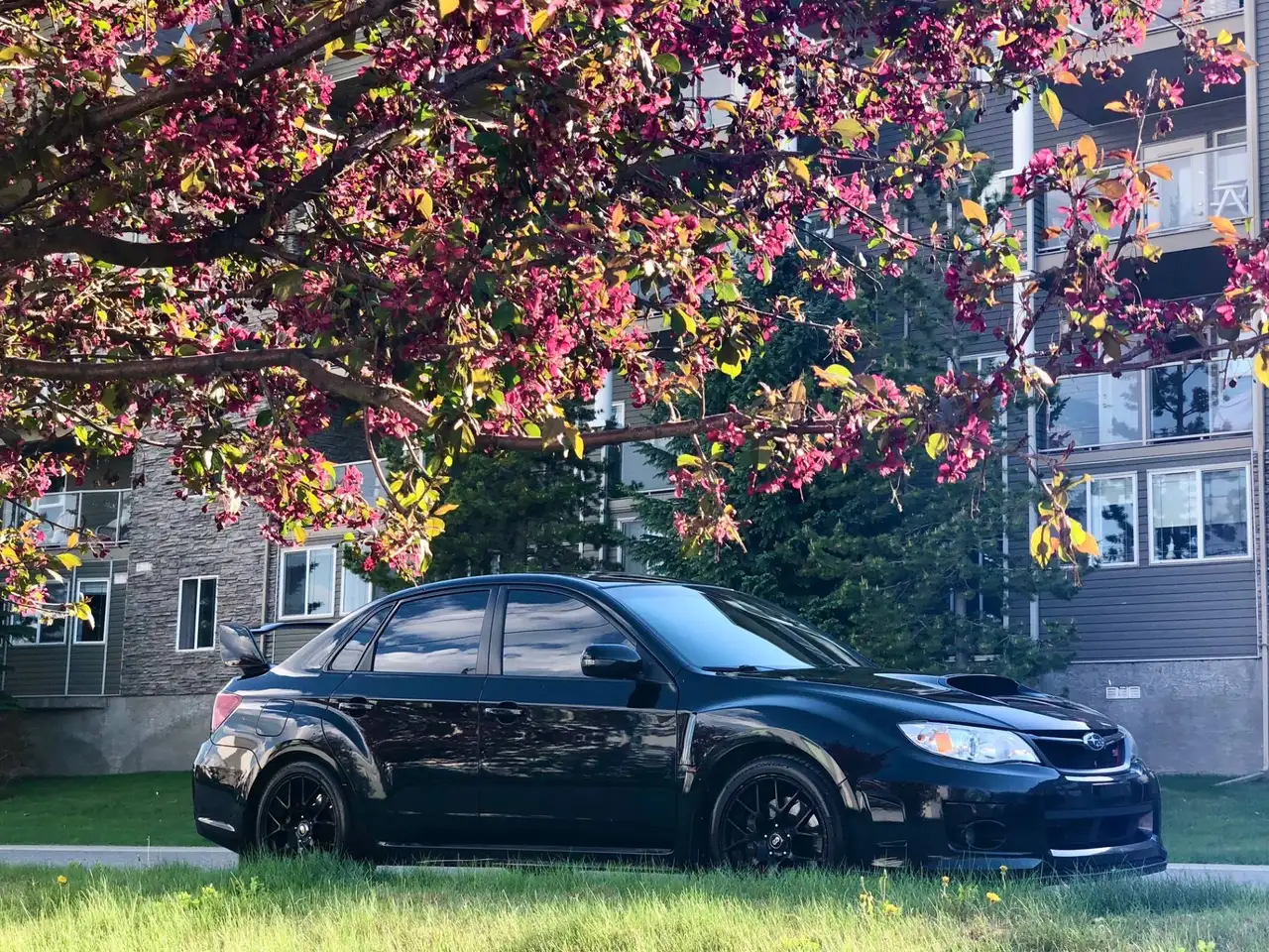 Subaru Impreza снимка Subaru Impreza