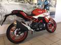BMW G 310 R Style Passion / Oil inklusive Rouge - thumbnail 3