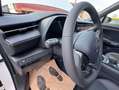 Lexus LBX ELEGANT BLACK EDITION Blanc - thumbnail 15