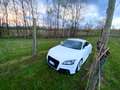 Audi TT Coupe 2.0 tdi Advanced Plus quattro - thumbnail 8