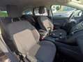 Ford Focus 1.5 TDCi 120 CV Start&Stop SW Plus Grigio - thumbnail 10