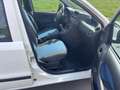 Fiat Panda 1.2 8V Dynamic-Klima-Eur5-Alu Weiß - thumbnail 14