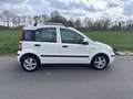 Fiat Panda 1.2 8V Dynamic-Klima-Eur5-Alu Weiß - thumbnail 7