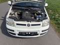 Fiat Panda 1.2 8V Dynamic-Klima-Eur5-Alu Weiß - thumbnail 16