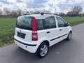 Fiat Panda 1.2 8V Dynamic-Klima-Eur5-Alu Weiß - thumbnail 6