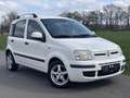Fiat Panda 1.2 8V Dynamic-Klima-Eur5-Alu Weiß - thumbnail 1