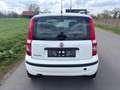 Fiat Panda 1.2 8V Dynamic-Klima-Eur5-Alu Weiß - thumbnail 5
