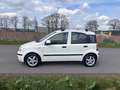 Fiat Panda 1.2 8V Dynamic-Klima-Eur5-Alu Weiß - thumbnail 3