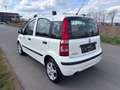 Fiat Panda 1.2 8V Dynamic-Klima-Eur5-Alu Weiß - thumbnail 4