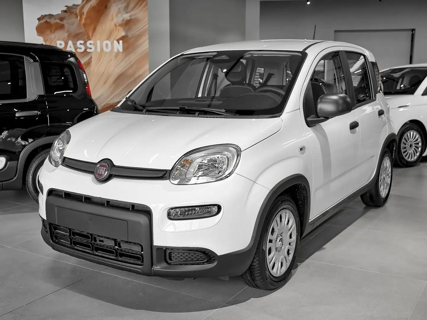 Fiat Panda 1.0 FireFly S&S Hybrid CON IMPIANTO GPL - 1