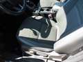Ford Kuga 1.5 EcoBoost 2x4 Titanium, AHK Braun - thumbnail 9