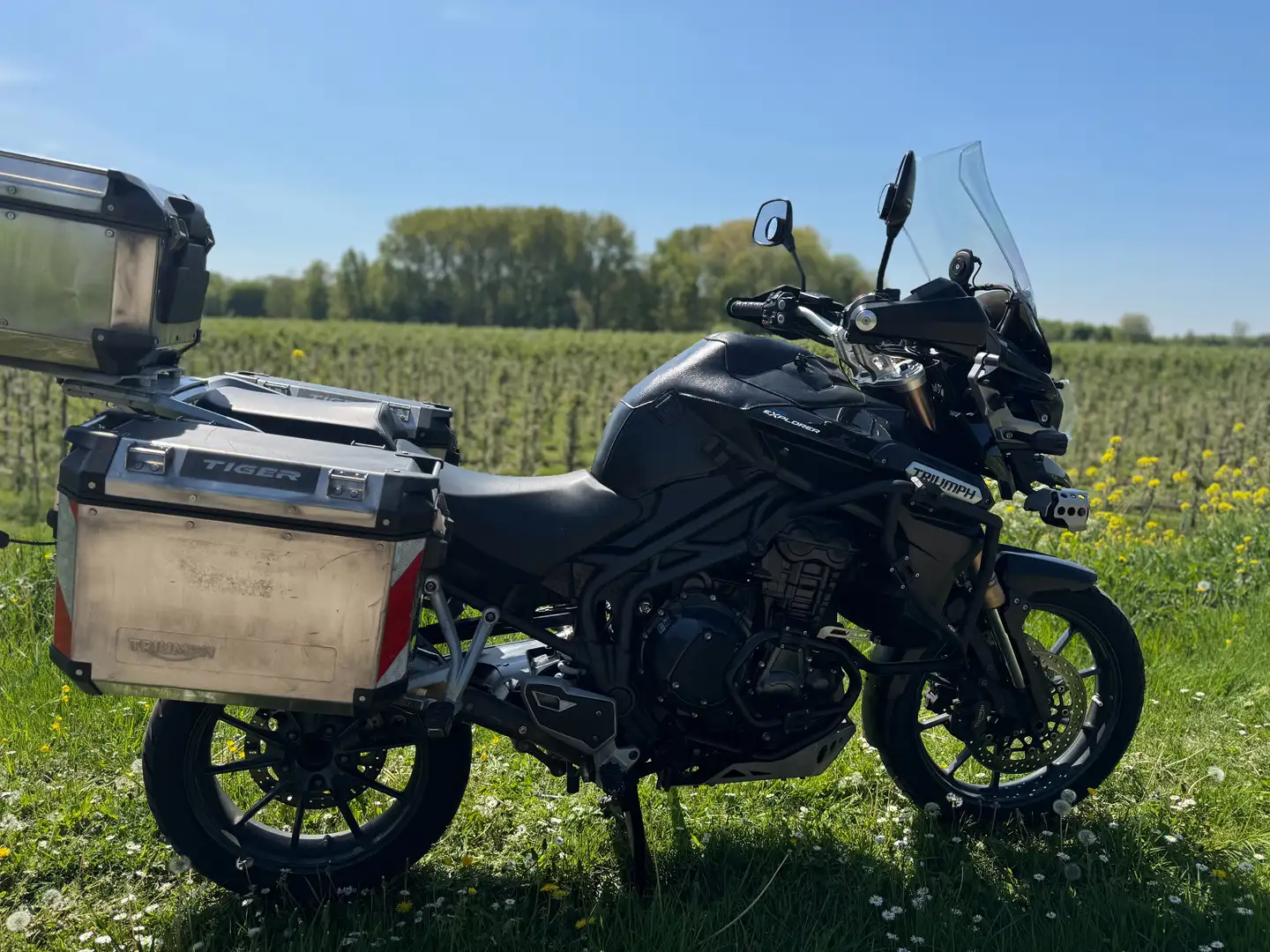 Triumph Tiger Explorer First Edition Tiger Explorer 1200 Negro - 1