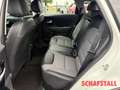 Kia Niro EV Vision 3-Phasen-Lader Navi Tempomat Kamera Sitz Wit - thumbnail 15
